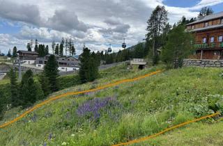 Hotel kaufen in Turracherhöhe, 9565 Turracherhöhe, Turracher Höhe - Baugrundstück für eine kleine Apartmentanlage - DIREKT bei der Piste und der Talstation "Panoramabahn"