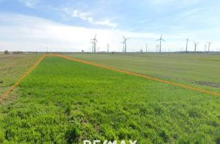 Immobilie kaufen in 2404 Petronell-Carnuntum, Ortsrandlage 2 Grundstücke mit ~ 2 ha 6,5 € / m² FP