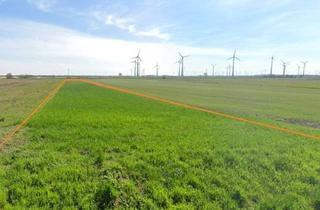 Immobilie kaufen in 2404 Petronell-Carnuntum, Ortsrandlage 2 Grundstücke mit ~ 2 ha 6,5 € / m² FP