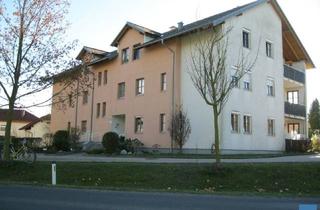 Wohnung mieten in Unterwegbach 9B /7, 4730 Waizenkirchen, Objekt 441: 3-Zimmerwohnung in 4730 Waizenkirchen, Unterwegbach 9b, Top 7
