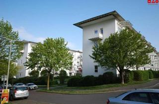 Wohnung mieten in Musilweg 13, 4030 Linz, Familienwohn(t)raum mit eigenem Wohlfühl-Garten mit perfekter Infarstuktur u. dennoch grüner Umgebung!