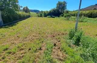 Grundstück zu kaufen in 3383 Hürm, Ein guter Grund weiterzulesen.....