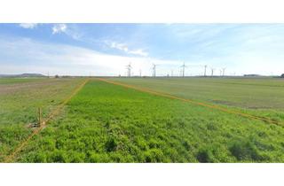 Agrarfläche kaufen in 2404 Petronell-Carnuntum, Ortsrandlage 2 Grundstücke mit ~ 2 ha 6,5 € / m² FP
