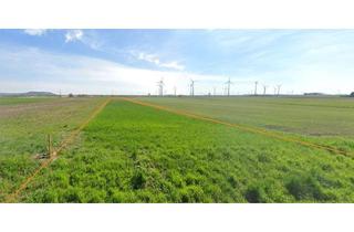 Agrarfläche kaufen in 2404 Petronell-Carnuntum, Ortsrandlage 2 Grundstücke mit ~ 2 ha 6,625 € / m² FP