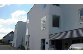 Wohnung mieten in Neudorf 28/ Top 5, 3351 Weistrach, Junges Wohnen in Weistrach. Top 1/5 | geförderte 2 Zimmer Wohnung | ca. 71 m² Garten.