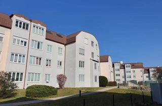 Wohnung mieten in Koloman-Wallisch-Straße 13, 3500 Lerchenfeld, 3-Zimmer-Wohnung, Top 12