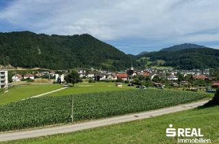 Grundstück zu kaufen in 4452 Ternberg, Baugrundstück ohne Bauverpflichtung