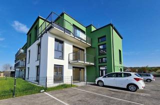 Wohnung kaufen in Amselgasse, 3133 Traismauer, Neuwertige 3-Zimmer-Wohnung in Traismauer mit Balkon und 2 Stellplätze – nur 225.000 €!