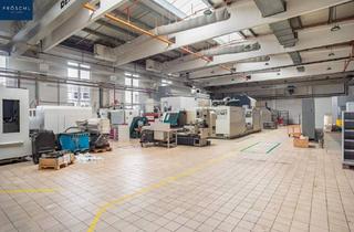 Büro zu mieten in 3830 Waidhofen an der Thaya, VERMIETUNG - PRODUKTIONSFLÄCHEN im Waldviertel
