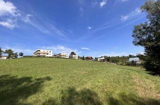 Grundstück zu kaufen in 4400 Steyr, *NEUER PREIS* Grundstück in sonniger Lage