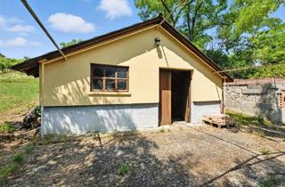 Grundstück zu kaufen in 2251 Ebenthal, Traditioneller Weinkeller mit Presshaus und 2.421 m² Weingarten in Ebenthal – Ihr Rückzugsort im Weinviertel!