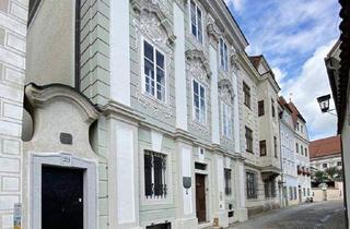 Wohnung mieten in 4400 Steyr, Wohnen im Zentrum von Steyr!