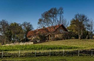 Loft mieten in Heutal, 7543 Kukmirn, Für Pferde- und Naturliebhaber