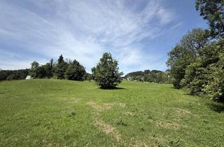 Grundstück zu kaufen in 6840 Götzis, Grundstück | Götzner Berg | 2.525 m²
