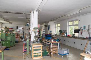 Büro zu mieten in 2540 Bad Vöslau, 250m² Gewerbe - Halle mit Büro (2 Zimmer), eigener Toilette, PKW-Abstellplatz in Bad Vöslau