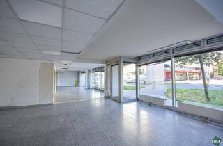 Geschäftslokal mieten in Erlaaer Platz, 1230 Wien, Geschäftsfläche – 310 m² am Erlaaer Platz