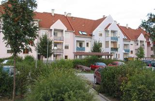 Wohnung mieten in 7083 Purbach am Neusiedler See, Wohnung in Purbach am See