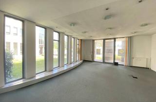 Büro zu mieten in Europaplatz, 4020 Linz, Sehr praktisches und ausgesprochen günstig liegendes Büro - in 4020 Linz zu mieten