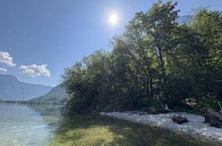 Gewerbeimmobilie kaufen in 4830 Hallstatt, Badeplatz am Hallstättersee
