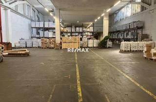 Büro zu mieten in 2514 Traiskirchen, Lagerhallen ab 500 m² bis XXL.