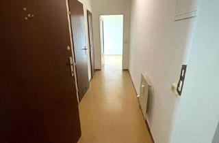 Wohnung mieten in Weißdornweg 32, 4030 Linz, Charmante 1-Raum Wohnung in sonniger und grüner Ruhelage!