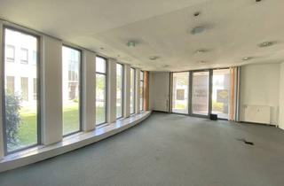 Büro zu mieten in Europaplatz, 4020 Linz, Sehr praktisches und ausgesprochen günstig liegendes Büro - in 4020 Linz zu mieten