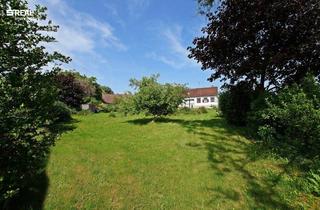 Haus kaufen in Markt Allhau, Pinkafeld, Oberwart, 7410 Loipersdorf im Burgenland, 7410 Loipersdorf im Burgenland - Traditionelles Landhaus im Sonnenland Burgenland!