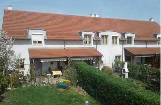Wohnung mieten in 3751 Sigmundsherberg, unbefristete 4 Zimmerwohnung