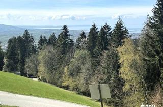 Grundstück zu kaufen in Knobel, 6858 Bildstein, Beste Aussichten!