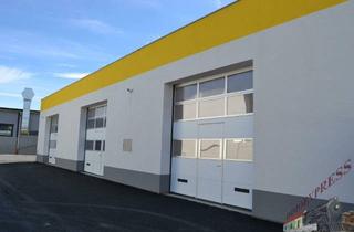 Immobilie mieten in 2401 Fischamend-Dorf, Sehr gut gelegenes Lager / Garagenbox - in Fischamend für Hebebühnen geeignet - mit 3,2 m x 3,2 m Einfahrtstor - 1 Minute von der Autobahn entfernt und Flughafennähe und 12 Minuten von Wien entfernt - ideal für Startu…
