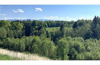 Wohnung kaufen in 4840 Vöcklabruck, Exklusives Wohnen im WOHNPARK AM POSCHENHOF