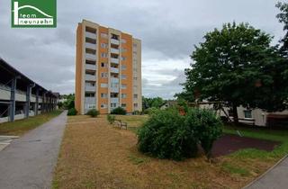 Genossenschaftswohnung in Gutenbergstraße, 3100 Sankt Pölten, Unbefristeter Bastlerhit mit Loggia! Selbst sanieren und 3 Monate mietfrei genießen!