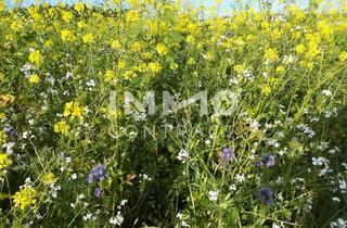 Wohnung kaufen in Mayrhoferstraße, 4030 Linz, Attraktive 2-Zimmer Balkonwohnung mit Top Infrastruktur für Anleger - provisionsfrei!