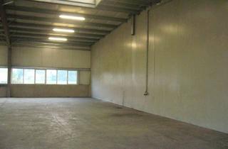 Büro zu mieten in 3150 Wilhelmsburg, Gewerbe- und Lagerhalle zu MIETEN!