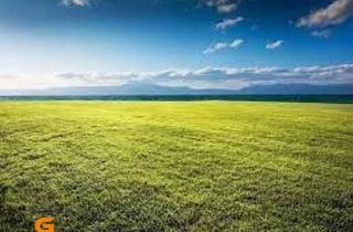 in 5202 Neumarkt am Wallersee, Neumarkt: Baurecht Gewerbegrund