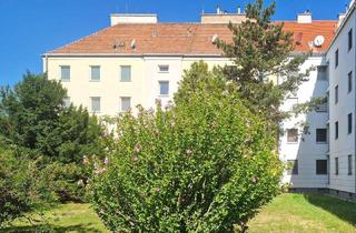 Wohnung kaufen in 2320 Schwechat, Kleinstadtidylle! Bis 31.05.2026 befristet vermietete 2,5-Zimmer-Wohnung mitten im l(i)ebenswerten Rannersdorf