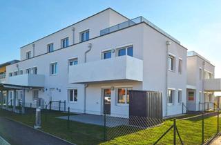 Wohnung mieten in Veilchengassse 12, 2274 Rabensburg, Schöne Dachterrassenwohnung in Rabensburg