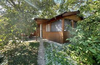 Haus kaufen in 7071 Rust, Baugrund mit Sommerhaus und Obstbäumen