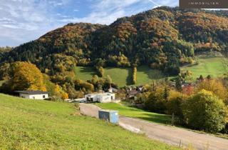 Grundstück zu kaufen in Kirchensiedlung, 3211 Loich, | BERGBLICK | PROVISIONSFREI | SÜDOSTEN | RÜCKZUGSORT IN DER NATUR | SONNIGES BAUGRUNDSTÜCK