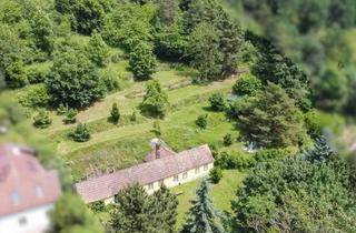 Grundstück zu kaufen in 3500 Krems an der Donau, Sonniges Baugrundstück in Krems-Alauntal-Ihre zukünftige Ruheoase?