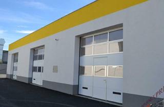 Lager mieten in 2401 Fischamend-Dorf, Sehr gut gelegenes Lager / Garagenbox - in Fischamend für Hebebühnen geeignet - mit 3,2 m x 3,2 m Einfahrtstor - 1 Minute von der Autobahn entfernt und Flughafennähe und 12 Minuten von Wien entfernt - ideal für Startups - kombinierbar mit günstigem