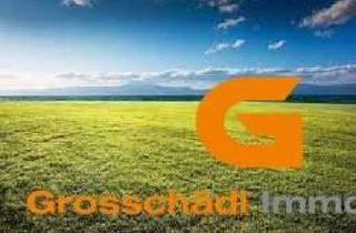  in 5202 Neumarkt am Wallersee, Neumarkt: Baurecht Gewerbegrund