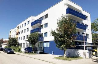Wohnung mieten in 4600 Wels, Charmante Singlewohnung im Welser Stadtteil Neustadt!