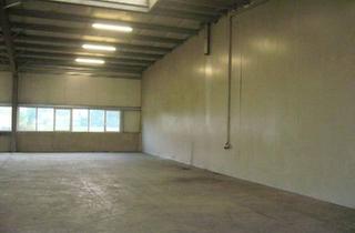 Büro zu mieten in 3150 Wilhelmsburg, Gewerbe- und Lagerhalle zu MIETEN!