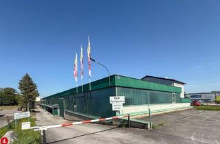 Büro zu mieten in 2322 Zwölfaxing, Flexible Gewerbe-/Lager-/Produktionsfläche mit Büro zu mieten