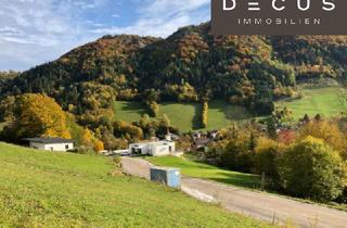 Grundstück zu kaufen in Kirchensiedlung, 3211 Loich, | BERGBLICK | PROVISIONSFREI | SÜDOSTEN | RÜCKZUGSORT IN DER NATUR | SONNIGES BAUGRUNDSTÜCK