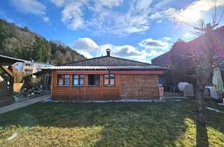 Haus kaufen in 5222 Munderfing, Bungalow mit großem Grundstück im Herzen von Munderfing