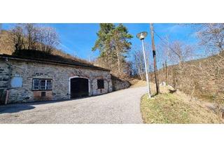 Immobilie kaufen in 3541 Senftenberg, RARITÄT IN SENFTENBERG - GELEGENHEIT AUF EINEN WEINKELLER MIT SCHÖNEM KELLERGEBÄUDE, KELLERRÖHRE SOWIE GARTENHAUS AUF HERRLICHEM TEILWEISE ALS BAULAND GEWIDMETEN GRUNDSTÜCK