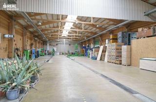 Gewerbeimmobilie kaufen in 7013 Klingenbach, Moderne 1.620m² Lager- Produktionshalle in Autobahnnähe mit 519m² Wohn-/Bürogebäude und 273m² Keller!