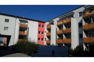 Wohnung mieten in Ausstellungsgasse 7/4, 2700 Wiener Neustadt, Wr. Neustadt Top 7/4. Geförderte 3 Zimmer Wohnung | Garten | Miete mit Kaufrecht.
